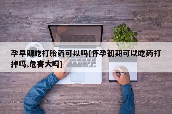 米非司酮片哪里有买孕早期吃打胎药可以吗(怀孕初期可以吃药打掉吗,危害大吗)