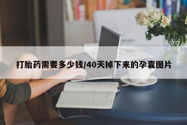 米非司酮片哪里有买打胎药需要多少钱/40天掉下来的孕囊图片